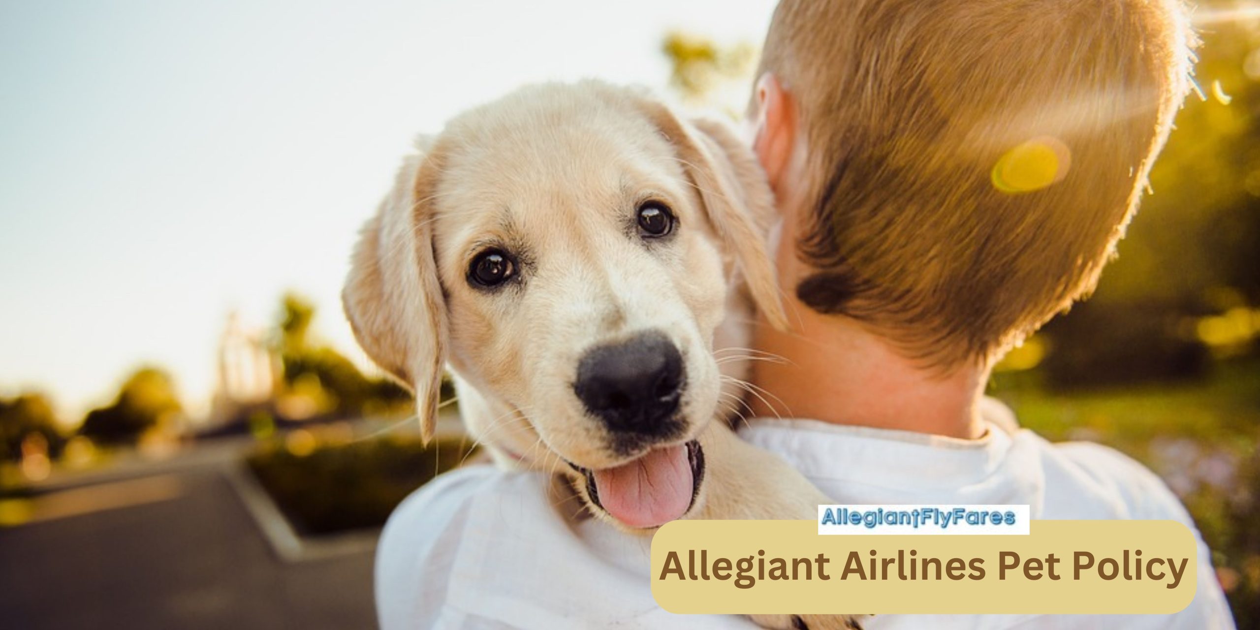 Allegiant Airlines Pet Policy – Fly Your Pet Safely